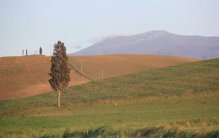 paesaggio Monte Amiata