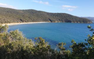Cala Violina in Maremma