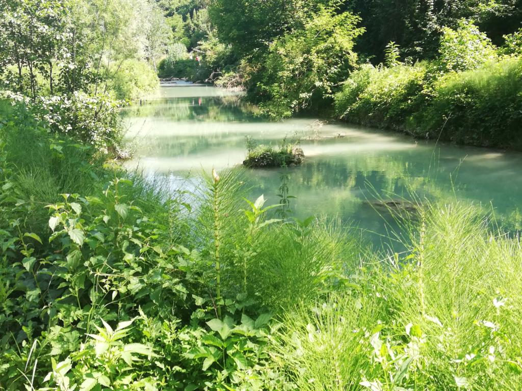 Fiume Elsa