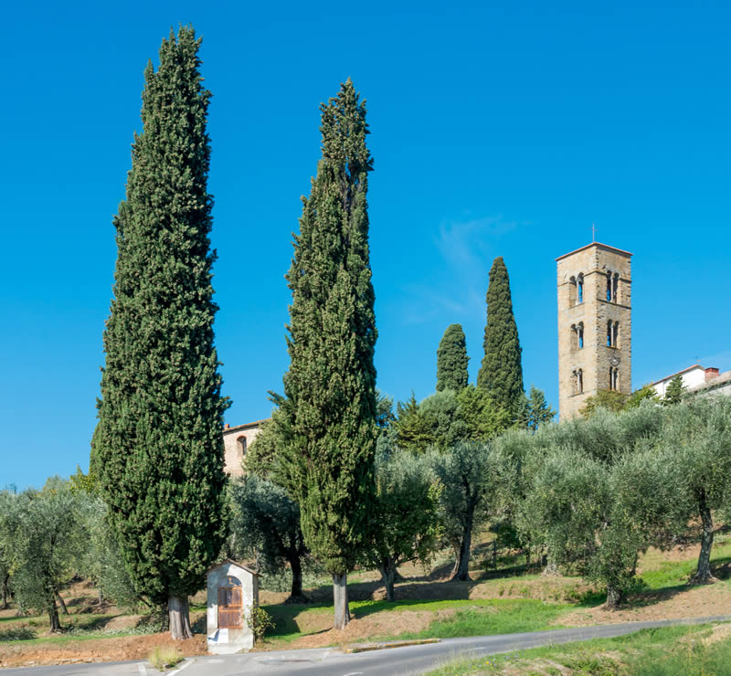 Colle Buggiano