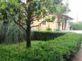 dettaglio tenute di badia